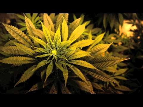 Requake - Blunt (Original Mix)