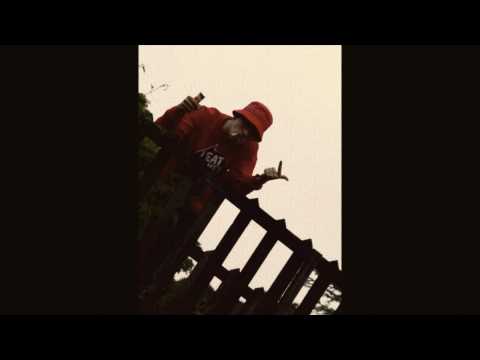 ToMMY DoCKeRZ - ViRaL SWiNe