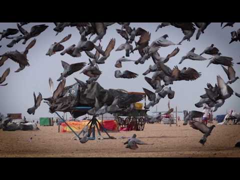 T.M.U.C.O.A.717 | ANDC 2018