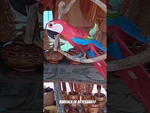 Barraca De Artesanato próximo a BR-116, trecho de Boa Nova a Manoel Vitorino.#artesanato#shrots