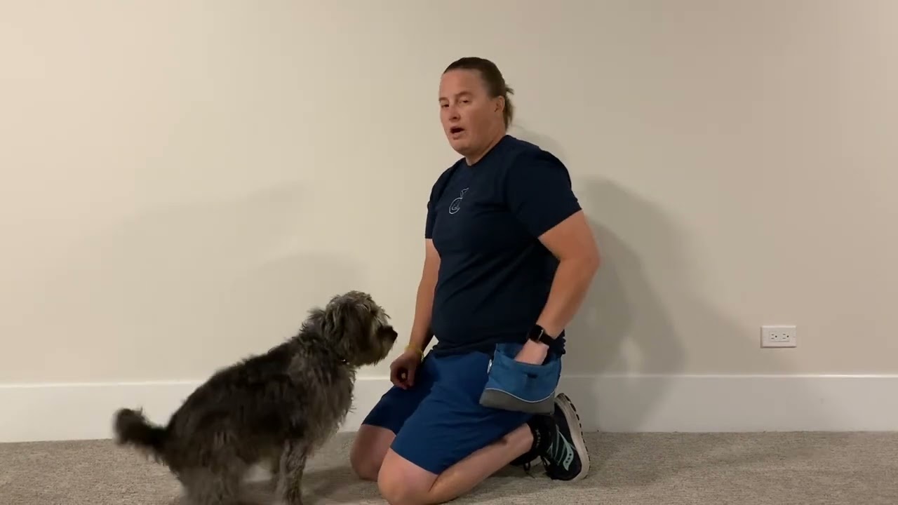 Capturing Targeting - Homework 2