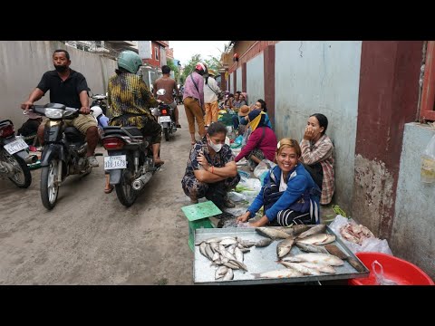 Rural Fish, Fresh Vegetables & More Food in The Takhmao Thmey - Khmer Street Market Show in Morning