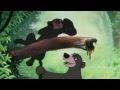 Bare Necessities Hindi Version Mp4