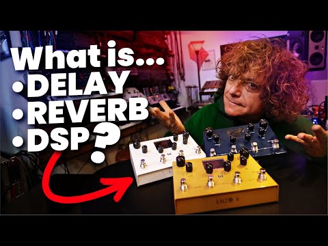 I Asked Meris Experts about Reverb, Delay & DSP | SHOCKING RESULT!!