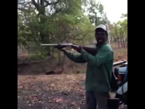 aboriginal shoots shotgun
