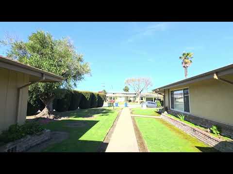 1136paj - Video 2 of 2