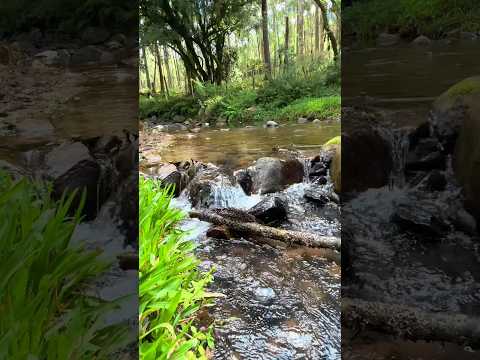 Área Rural na Bocaina do Sul SC