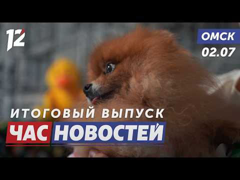 Спасённые хвостики счастливы / Ремонт школ к сентябрю / Фадина в Крутинке. Новости Омска