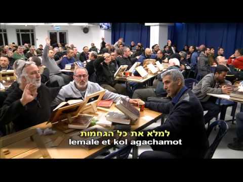 Lello Lello La..... Moti More