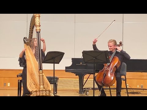 STRAUSS Romance for cello and harp in D minor, op. 243 arr. by Amir Awad