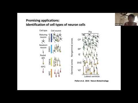 Demystifying the drop-outs in single cell RNA-seq data