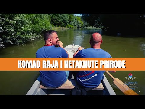 Komad RAJA | Da li ste znali da postoji AMAZON u SRBIJI | KULTURISTA Ep.50