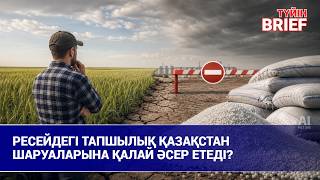 Жергілікті тұрақтандыру қорының астық сапасы дауға айналды