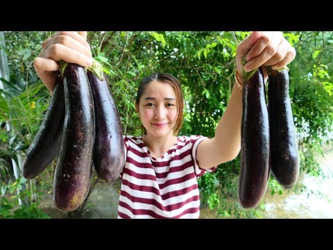 Yummy Eggplant Stir Fried Pork Shrimp Recipe - Eggplant Cooking With Shrimp Pork - Cooking With Sros Video