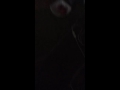 Panic! at the Disco - LA Devotee (preview) 