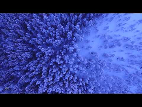 Blues: Almunia - Electro Blues