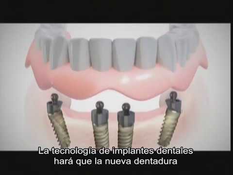 Myriam Barajas Camargo-22