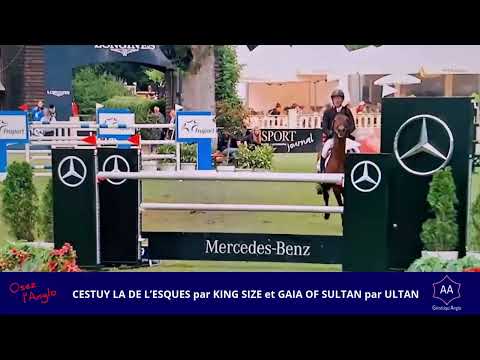 CESTUY LA DE L’ESQUES GP 145 en ALLEMAGNE