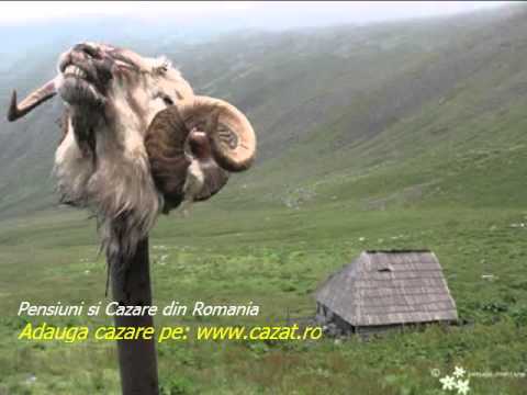 Cazare Podu Doamnei, Giurgiu - Cazat.ro