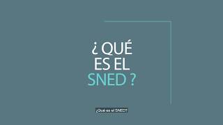 Sistema Nacional de Evaluación de Desempeño de Excelencia (SNED) ¿Qué es el SNED? El SNED es un sistema de evaluación bianual del desempeño de los establecimientos educacionales subvencionados del país. Revisa más aquí.