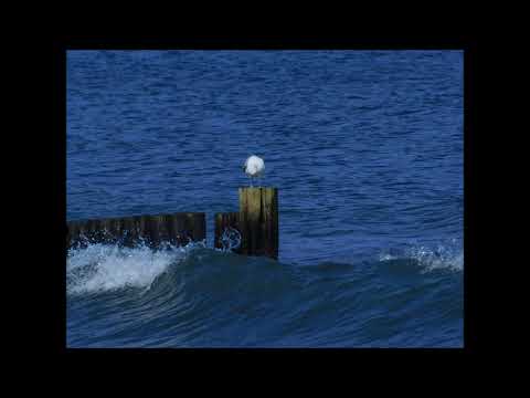 Bilder von der Ostsee