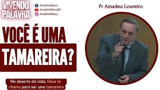 [MENSAGEM] VOCÊ É UMA TAMAREIRA? - PR AMADEU LOUREIRO