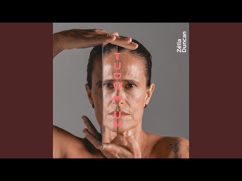 Me Faz Uma Surpresa (part. Zeca Baleiro) - Zélia Duncan