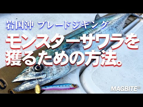 話題の岩国沖ブレードジギング！モンスターサワラを獲るための方法を詳しく解説 / 【トルタメ #2 】