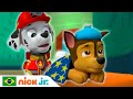 Patrulha Canina Chase Fica Doente Nick Jr Em Português