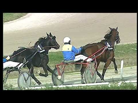 Trotto 27/12/2020 - 3ª corsa