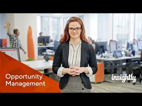 Insightly Tutorial Preview