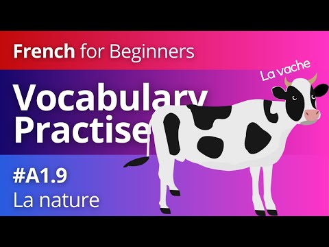French Vocabulary for Beginners 13 Le Corps