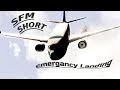 SFM Short Emergency Landing
