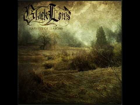 black lotus  terra hiberna