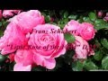 Franz Schubert - "Little Rose of the Field" D.257 ...