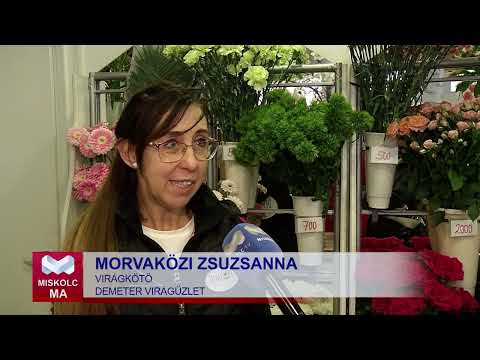 Videó előnézet