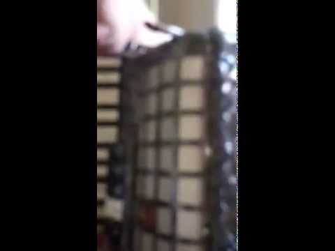 Parrot Accordion for sale.