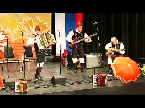 Rene Cresnar mit Freunden - Swingende Harmonika