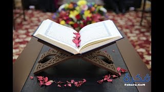 أركان المنهج النبوى فى التعامل مع القرآن الكريم ج1 image