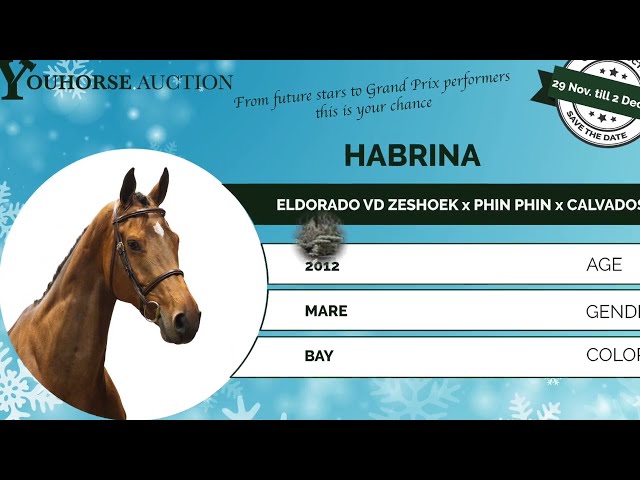 Habrina showvideo outdoor