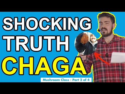 Chaga Mushroom Benefits - What You Need To Know (Medicinal Mushroom Class Part 2 of 4)
