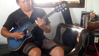 Rock n Roll [Johnny Winter] - Open A Acoustic Slidin&#39; Home Lockdown