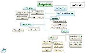 صورة التأهيل الفقهي | المذهب المالكي | العبادات 6 | الصلاة 3