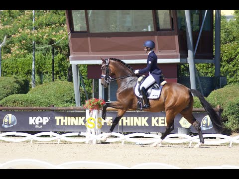 EC 2019 Young Riders Freestyle. Anna Guseynova & Lauda