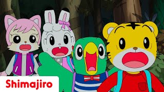 An Adventure in Daydream Forest! | Part One | Adventure Episode | Shimajiro