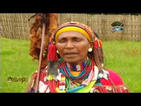 SIIQQEE -  Aadaa Oromoo