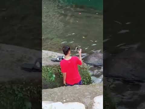 Viral Video: Huge Snake Enters River As People Enjoy a Swim. Watch What Happens Next