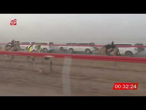 ش 7 (نجد) لـ دميثان خلفان الشامسي 2:06 , شارة الصندوق 2026/06/20 فطامين الروضة 