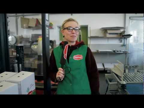 Penninger - Bavarian Summer Cocktails