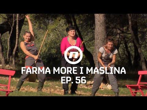 Utrka farmerica-vještica  - Epizoda 56 | Farma More i Maslina